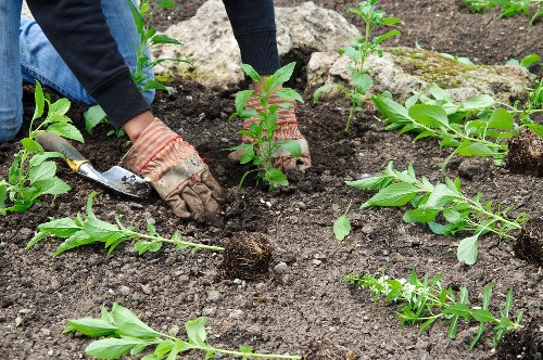 Team of insured gardeners in PPE on a residential property