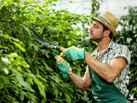 Team leader assessing plant health and taking notes on a clipboard