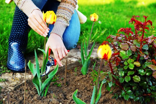 Protective gloves, goggles and hearing protection laid out for gardening work